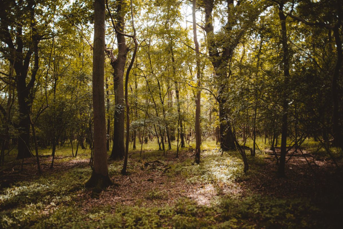 Ashton-Estate-Wold-Web-1